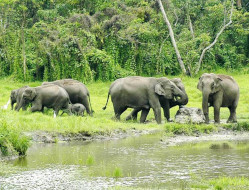 Alipurduar