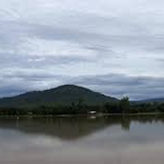 Diphu