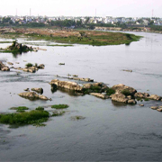 Erode