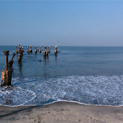 Kozhikode