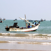 Ongole