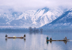 Srinagar
