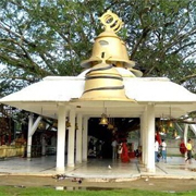 Tinsukia