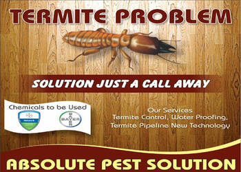 Absolute-pest-solution-Pest-control-services-Model-gram-ludhiana-Punjab-1