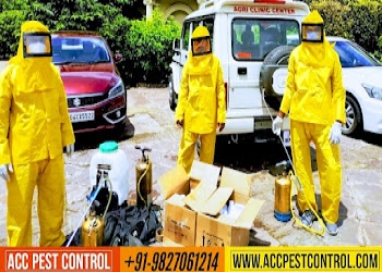 Acc-pest-control-bhopal-Pest-control-services-Arera-colony-bhopal-Madhya-pradesh-2