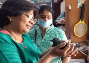 Adonai-companion-animal-care-Veterinary-hospitals-Thiruvananthapuram-Kerala-3