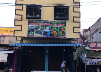 Aftab-aquarium-pets-shop-Pet-stores-Bellary-Karnataka-1