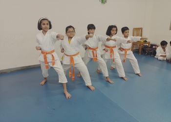 Ajays-martial-arts-academy-Martial-arts-school-Bhopal-Madhya-pradesh-2