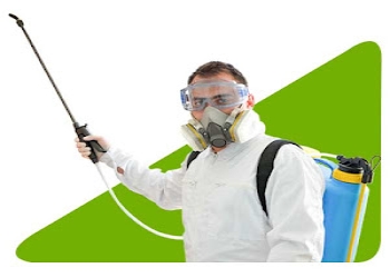 All-safe-pest-control-service-Pest-control-services-Jaipur-Rajasthan-2