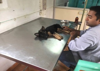 Alpha-vet-clinics-Veterinary-hospitals-Vijayawada-Andhra-pradesh-2