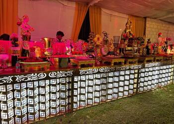 Amar-punjabi-caterers-Catering-services-Kota-Rajasthan-2