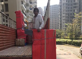 Amd-packers-movers-Packers-and-movers-Botanical-garden-noida-Uttar-pradesh-3