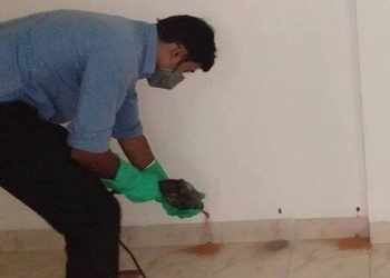 Amicare-services-private-limited-Pest-control-services-Palarivattom-kochi-Kerala-3