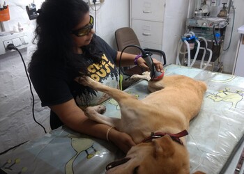 Animal-wellness-and-rehabilitation-centre-Veterinary-hospitals-Chembur-mumbai-Maharashtra-3