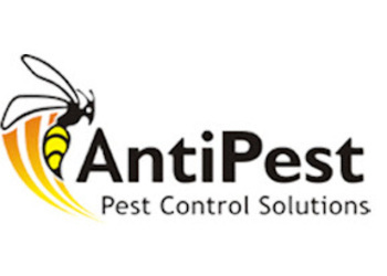 Antipest-control-Pest-control-services-Sector-61-chandigarh-Chandigarh-1