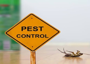 Arise-pest-control-services-Pest-control-services-Begumpet-hyderabad-Telangana-1