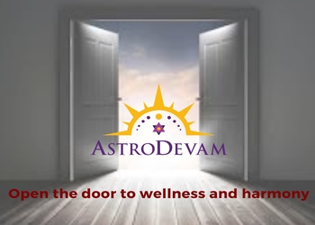 Astro-devam-Palmists-Sector-50-noida-Uttar-pradesh-1