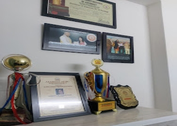Astrologer-dr-madhu-priya-Vastu-consultant-Sector-51-noida-Uttar-pradesh-2
