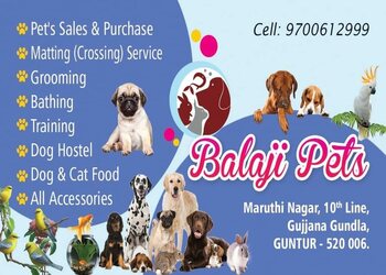 Balaji-pets-Pet-stores-Guntur-Andhra-pradesh-2