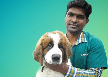 Blue-pulse-pet-clinic-Veterinary-hospitals-Pimpri-chinchwad-Maharashtra-2