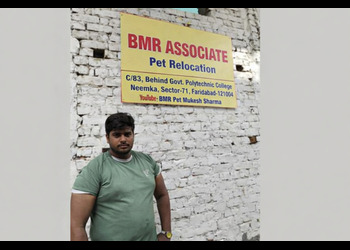 Bmr-associatebrspecial-pet-transport-service-pan-indiabr-Transport-services-Delhi-Delhi