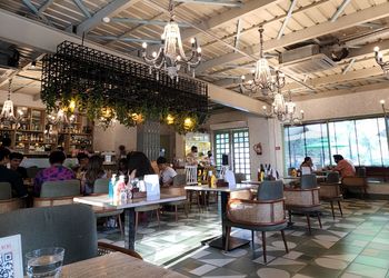 Cafe-tesu-Cafes-New-delhi-Delhi-3