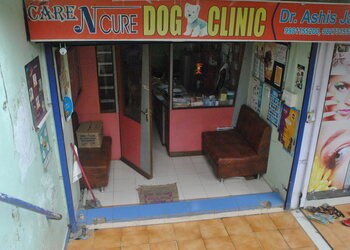 Care-n-cure-Veterinary-hospitals-Indore-Madhya-pradesh-1