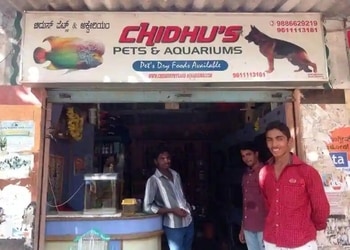 Chidhus-pets-and-aquarium-Pet-stores-Mysore-Karnataka-1