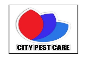 City-pest-care-Pest-control-services-Sarita-vihar-delhi-Delhi-1