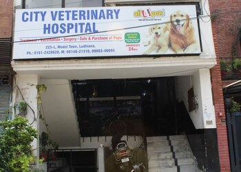 City-veterinary-hospital-Veterinary-hospitals-Model-town-ludhiana-Punjab-1