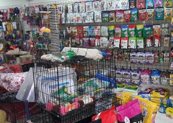 Classic-pet-store-Pet-stores-Chennai-Tamil-nadu-2