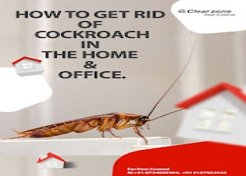 Clearzone-pest-control-Pest-control-services-Ahmedabad-Gujarat-2