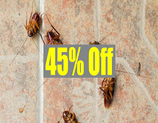 Cockroach-pest-control-khar-road-Pest-control-services-Khar-mumbai-Maharashtra-1