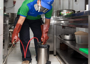Concept-pest-management-Pest-control-services-Vyttila-kochi-Kerala-3