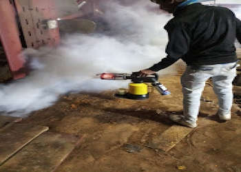 Cure-it-pest-control-Pest-control-services-Barrackpore-kolkata-West-bengal-2