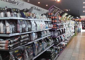 Dav-pet-lovers-Pet-stores-New-delhi-Delhi-2