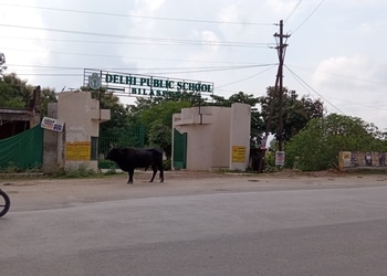 Delhi-public-school-Cbse-schools-Nehru-nagar-bilaspur-Chhattisgarh-1