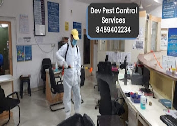 Dev-pest-control-services-Pest-control-services-Lakadganj-nagpur-Maharashtra-2