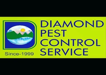 Diamond-pest-control-service-Pest-control-services-Okhla-delhi-Delhi-1