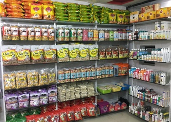 Dog-zone-Pet-stores-Ambawadi-ahmedabad-Gujarat-2