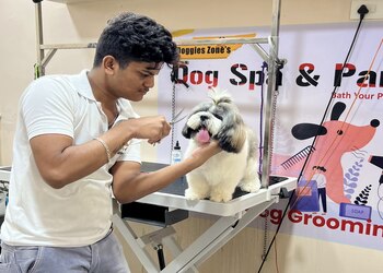 Doggies-zone-and-medicals-Pet-stores-Guntur-Andhra-pradesh-2