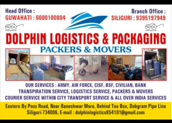 Dolphin-logistics-packaging-Packers-and-movers-Guwahati-Assam-1