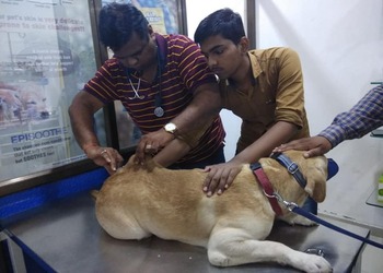 Dr-sonis-pet-clinic-Veterinary-hospitals-Katargam-surat-Gujarat-2