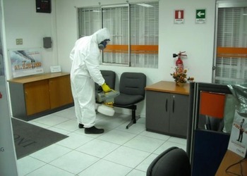 Eco-friendly-pest-control-Pest-control-services-Pashan-pune-Maharashtra-2