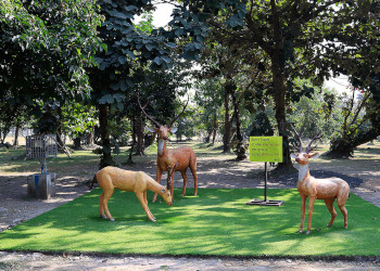 Eco-park-Amusement-parks-Kolkata-West-bengal-1