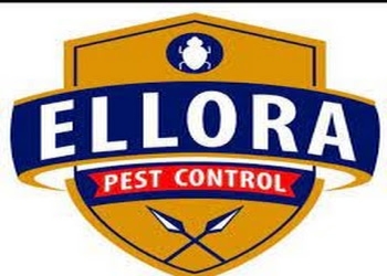 Ellora-pest-control-services-Pest-control-services-Aurangabad-Maharashtra-1