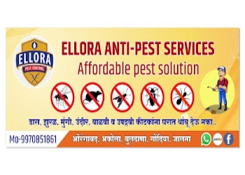 Ellora-pest-control-services-Pest-control-services-Aurangabad-Maharashtra-2