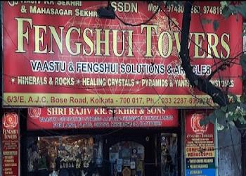 Fengshuie-towers-vaastu-fengshui-Feng-shui-consultant-Baruipur-kolkata-West-bengal-1