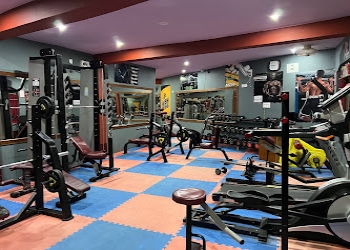 Fitness-freak-gym-Gym-Lal-chowk-srinagar-Jammu-and-kashmir-2