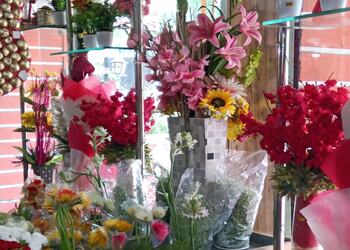 Fnp-Flower-shops-Jalgaon-Maharashtra-2